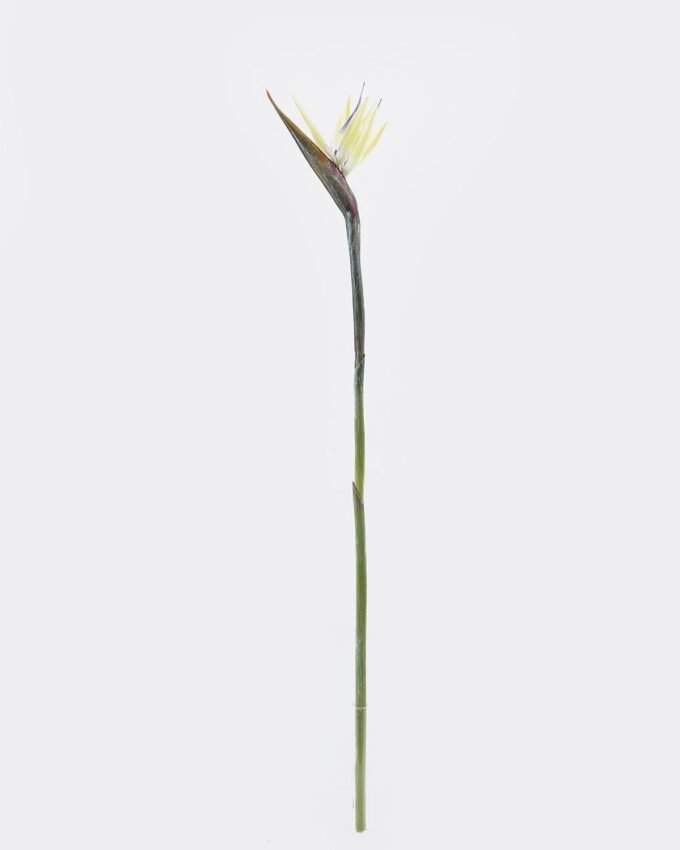 Artificial Flower Strelitzia single stem GS-50525041_6 Artificial Flower 13*94cm Strelitzia single stem GS-50525041 2025Oct YeahFlower is one of Chinese leading OEM manufacturers and exporters , supplying the silk flowers, wholesale artificial trees
