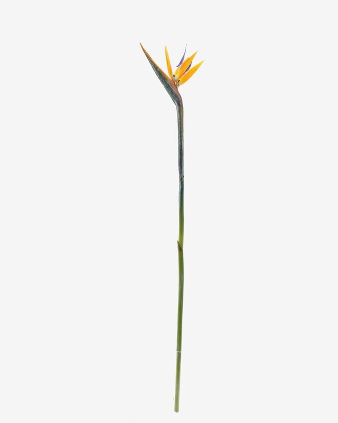 Artificial Flower Strelitzia single stem GS-50525041_7 Artificial Flower 13*94cm Strelitzia single stem GS-50525041 2025Oct YeahFlower is one of Chinese leading OEM manufacturers and exporters , supplying the silk flowers, wholesale artificial trees