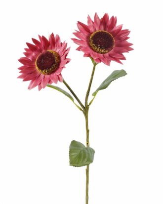 Artificial Flower 22*22*66cm Sunflowers *2 single stem GS-64925014-R2 2025Oct YeahFlower is one of Chinese leading OEM manufacturers and exporters , supplying the silk flowers, wholesale artificial trees Artificial Flower 22*22*66cm Sunflowers *2 single stem GS-64925014-R2 2025Oct YeahFlower is one of Chinese leading OEM manufacturers and exporters , supplying the silk flowers, wholesale artificial trees
