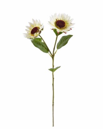 Artificial Flower 22*22*66cm Sunflowers *2 single stem GS-64925014-W1 2025Oct YeahFlower is one of Chinese leading OEM manufacturers and exporters , supplying the silk flowers, wholesale artificial trees Artificial Flower 22*22*66cm Sunflowers *2 single stem GS-64925014-W1 2025Oct YeahFlower is one of Chinese leading OEM manufacturers and exporters , supplying the silk flowers, wholesale artificial trees