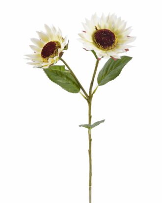 Artificial Flower 22*22*66cm Sunflowers *2 single stem GS-64925014-W1 2025Oct YeahFlower is one of Chinese leading OEM manufacturers and exporters , supplying the silk flowers, wholesale artificial trees Artificial Flower 22*22*66cm Sunflowers *2 single stem GS-64925014-W1 2025Oct YeahFlower is one of Chinese leading OEM manufacturers and exporters , supplying the silk flowers, wholesale artificial trees