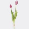 Artificial Flower Tulip 2 bundle GS-31325008CT-Z1_1 Artificial Flower 10*10*40cm Tulip *2 bundle GS-31325008CT-Z1 2025Oct YeahFlower is one of Chinese leading OEM manufacturers and exporters , supplying the silk flowers, wholesale artificial trees
