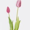 Artificial Flower Tulip 2 bundle GS-31325008CT-Z1_5 Artificial Flower 10*10*40cm Tulip *2 bundle GS-31325008CT-Z1 2025Oct YeahFlower is one of Chinese leading OEM manufacturers and exporters , supplying the silk flowers, wholesale artificial trees