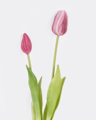Artificial Flower 10*10*40cm Tulip *2 bundle GS-31325008CT-Z1 2025Oct YeahFlower is one of Chinese leading OEM manufacturers and exporters , supplying the silk flowers, wholesale artificial trees