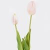 Artificial Flower Tulip 2 bundle GS-31325008CT_2 Artificial Flower 10*10*40cm Tulip *2 bundle GS-31325008CT 2025Oct YeahFlower is one of Chinese leading OEM manufacturers and exporters , supplying the silk flowers, wholesale artificial trees