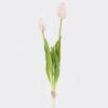 Artificial Flower Tulip 2 bundle GS-31325008CT_3 Artificial Flower 10*10*40cm Tulip *2 bundle GS-31325008CT 2025Oct YeahFlower is one of Chinese leading OEM manufacturers and exporters , supplying the silk flowers, wholesale artificial trees