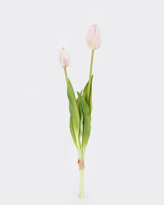 Artificial Flower Tulip 2 bundle GS-31325008CT_3 Artificial Flower 10*10*40cm Tulip *2 bundle GS-31325008CT 2025Oct YeahFlower is one of Chinese leading OEM manufacturers and exporters , supplying the silk flowers, wholesale artificial trees
