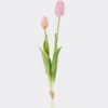 Artificial Flower Tulip 2 bundle GS-31325008CT_4 Artificial Flower 10*10*40cm Tulip *2 bundle GS-31325008CT 2025Oct YeahFlower is one of Chinese leading OEM manufacturers and exporters , supplying the silk flowers, wholesale artificial trees