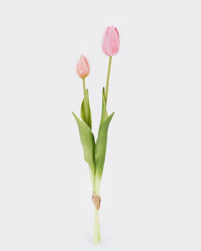 Artificial Flower Tulip 2 bundle GS-31325008CT_4 Artificial Flower 10*10*40cm Tulip *2 bundle GS-31325008CT 2025Oct YeahFlower is one of Chinese leading OEM manufacturers and exporters , supplying the silk flowers, wholesale artificial trees