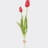 Artificial Flower Tulip 2 bundle GS-31325008CT_5 Artificial Flower 10*10*40cm Tulip *2 bundle GS-31325008CT 2025Oct YeahFlower is one of Chinese leading OEM manufacturers and exporters , supplying the silk flowers, wholesale artificial trees
