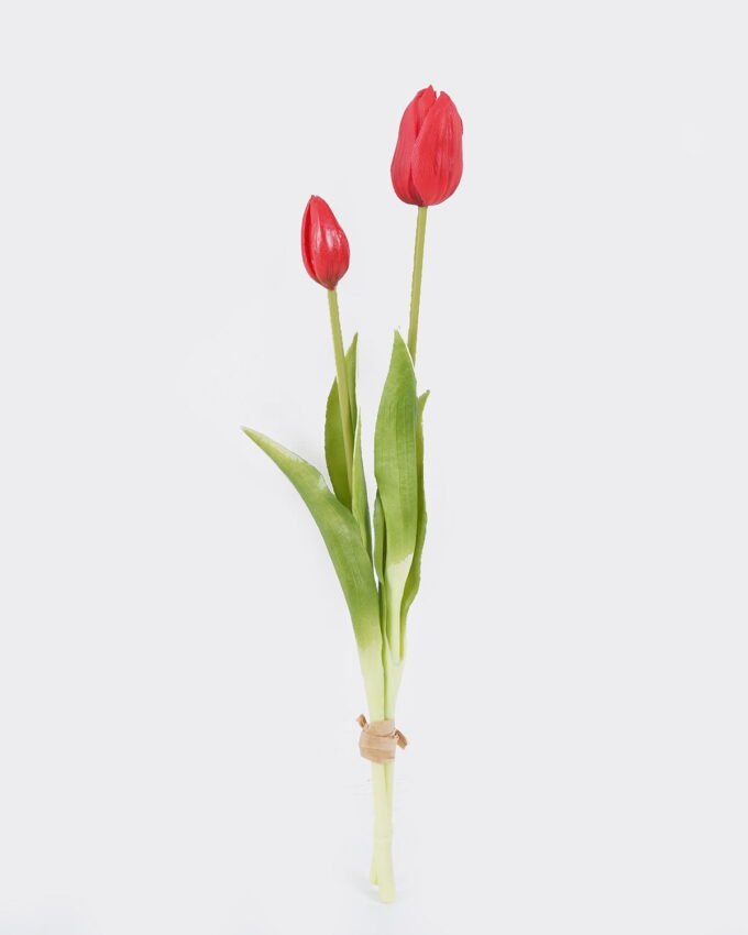 Artificial Flower Tulip 2 bundle GS-31325008CT_5 Artificial Flower 10*10*40cm Tulip *2 bundle GS-31325008CT 2025Oct YeahFlower is one of Chinese leading OEM manufacturers and exporters , supplying the silk flowers, wholesale artificial trees