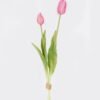 Artificial Flower Tulip 2 bundle GS-31325008CT_6 Artificial Flower 10*10*40cm Tulip *2 bundle GS-31325008CT 2025Oct YeahFlower is one of Chinese leading OEM manufacturers and exporters , supplying the silk flowers, wholesale artificial trees