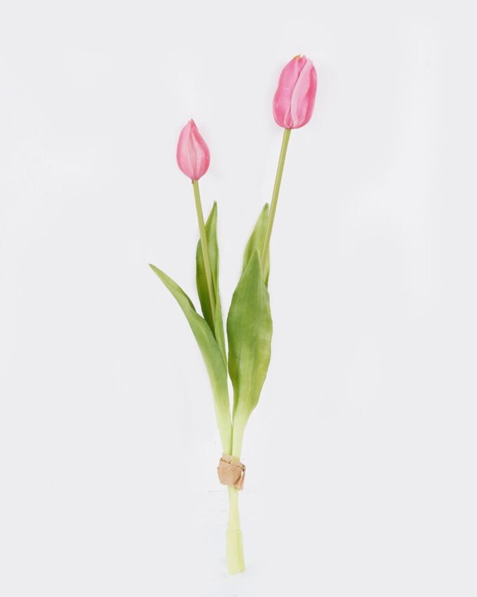 Artificial Flower Tulip 2 bundle GS-31325008CT_6 Artificial Flower 10*10*40cm Tulip *2 bundle GS-31325008CT 2025Oct YeahFlower is one of Chinese leading OEM manufacturers and exporters , supplying the silk flowers, wholesale artificial trees