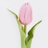 Artificial Flower 8*8*30cm Tulip single stem GS-31325007CT-P2 2025Oct YeahFlower is one of Chinese leading OEM manufacturers and exporters , supplying the silk flowers, wholesale artificial trees