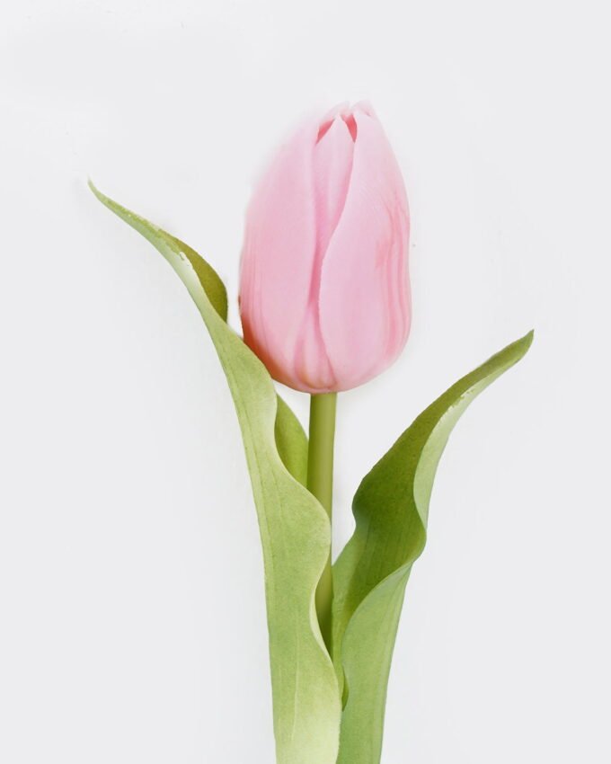 Artificial Flower 8*8*30cm Tulip single stem GS-31325007CT-P2 2025Oct YeahFlower is one of Chinese leading OEM manufacturers and exporters , supplying the silk flowers, wholesale artificial trees