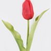 Artificial Flower Tulip single stem GS-31325007CT-R1_6 Artificial Flower 8*8*30cm Tulip single stem GS-31325007CT-R1 2025Oct YeahFlower is one of Chinese leading OEM manufacturers and exporters , supplying the silk flowers, wholesale artificial trees