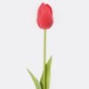 Artificial Flower Tulip single stem GS-31325009CT-R1_5 Artificial Flower 8*8*40cm Tulip single stem GS-31325009CT-R1 2025Oct YeahFlower is one of Chinese leading OEM manufacturers and exporters , supplying the silk flowers, wholesale artificial trees