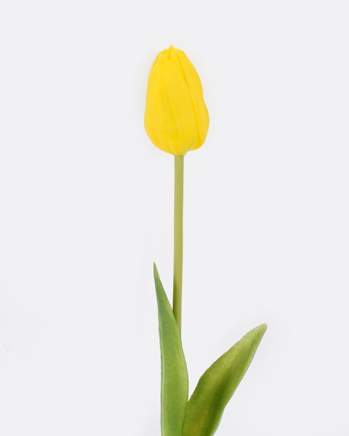 Artificial Flower Tulip single stem GS-31325009CT-Y1_4 Artificial Flower 8*8*40cm Tulip single stem GS-31325009CT-Y1 2025Oct YeahFlower is one of Chinese leading OEM manufacturers and exporters , supplying the silk flowers, wholesale artificial trees