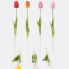 Artificial Flower 8*8*40cm Tulip single stem GS-31325009CT 2025Oct YeahFlower is one of Chinese leading OEM manufacturers and exporters , supplying the silk flowers, wholesale artificial trees