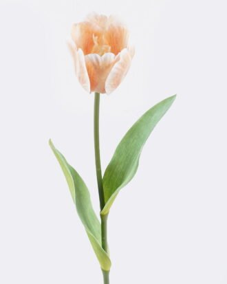 Artificial Flower 10*10*63cm Tulipa gesneriana single stem GS-64925013-O1 2025Oct YeahFlower is one of Chinese leading OEM manufacturers and exporters , supplying the silk flowers, wholesale artificial trees Artificial Flower 10*10*63cm Tulipa gesneriana single stem GS-64925013-O1 2025Oct YeahFlower is one of Chinese leading OEM manufacturers and exporters , supplying the silk flowers, wholesale artificial trees