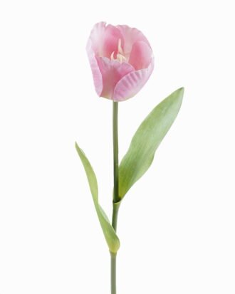 Artificial Flower 10*10*63cm Tulipa gesneriana single stem GS-64925013-P1 2025Oct YeahFlower is one of Chinese leading OEM manufacturers and exporters , supplying the silk flowers, wholesale artificial trees Artificial Flower 10*10*63cm Tulipa gesneriana single stem GS-64925013-P1 2025Oct YeahFlower is one of Chinese leading OEM manufacturers and exporters , supplying the silk flowers, wholesale artificial trees