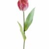 Artificial Flower Tulipa gesneriana single stem GS-64925013-R1_4 Artificial Flower 10*10*63cm Tulipa gesneriana single stem GS-64925013-R1 2025Oct YeahFlower is one of Chinese leading OEM manufacturers and exporters , supplying the silk flowers, wholesale artificial trees