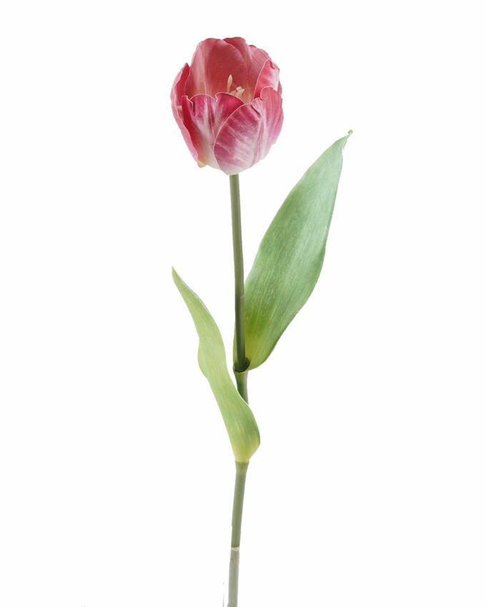 Artificial Flower Tulipa gesneriana single stem GS-64925013-R1_4 Artificial Flower 10*10*63cm Tulipa gesneriana single stem GS-64925013-R1 2025Oct YeahFlower is one of Chinese leading OEM manufacturers and exporters , supplying the silk flowers, wholesale artificial trees
