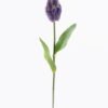 Artificial Flower Tulipa gesneriana single stem GS-64925013-Z1_1 Artificial Flower 10*10*63cm Tulipa gesneriana single stem GS-64925013-Z1 2025Oct YeahFlower is one of Chinese leading OEM manufacturers and exporters , supplying the silk flowers, wholesale artificial trees