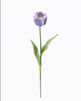 Artificial Flower 10*10*63cm Tulipa gesneriana single stem GS-64925013-Z2 2025Oct YeahFlower is one of Chinese leading OEM manufacturers and exporters , supplying the silk flowers, wholesale artificial trees Artificial Flower 10*10*63cm Tulipa gesneriana single stem GS-64925013-Z2 2025Oct YeahFlower is one of Chinese leading OEM manufacturers and exporters , supplying the silk flowers, wholesale artificial trees