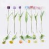 Artificial Flower 10*10*63cm Tulipa gesneriana single stem GS-64925013 2025Oct YeahFlower is one of Chinese leading OEM manufacturers and exporters , supplying the silk flowers, wholesale artificial trees