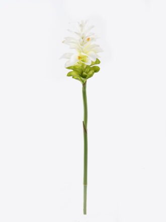 Artificial Flower 15*15*87cm Turmeric flower single stem GS-50525001 2025Oct 3,000+ sqm showroom with thousands of artificial flowers, plants & trees ready for global sourcing.
