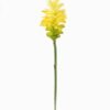 Artificial Flower Turmeric flower single stem GS-50525001_5 Artificial Flower 15*15*87cm Turmeric flower single stem GS-50525001 2025Oct YeahFlower is one of Chinese leading OEM manufacturers and exporters , supplying the silk flowers, wholesale artificial trees