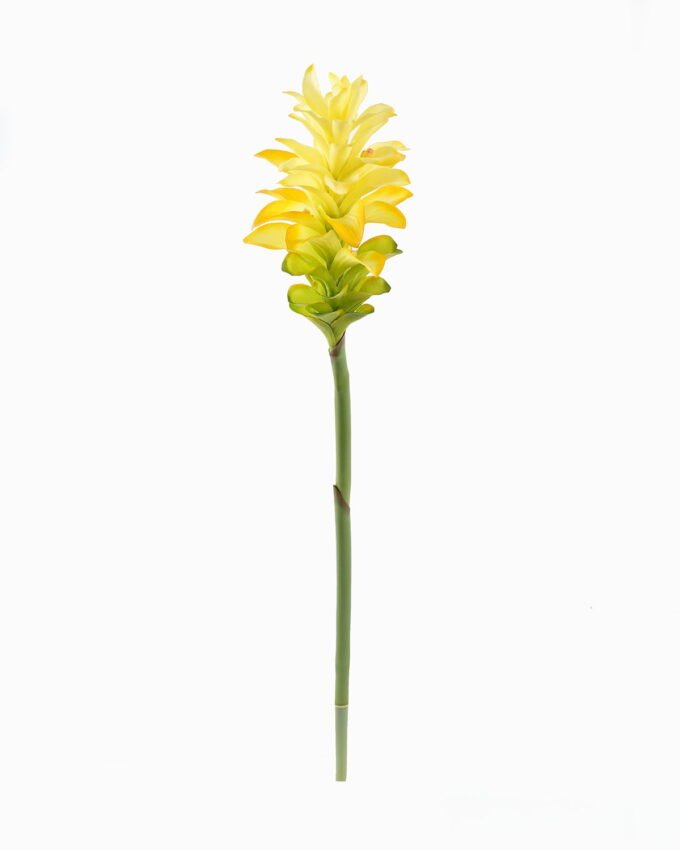 Artificial Flower Turmeric flower single stem GS-50525001_5 Artificial Flower 15*15*87cm Turmeric flower single stem GS-50525001 2025Oct YeahFlower is one of Chinese leading OEM manufacturers and exporters , supplying the silk flowers, wholesale artificial trees
