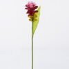 Artificial Flower ginger Lily single stem GS-50525012-R1_5 Artificial Flower 9*9*76cm ginger Lily single stem GS-50525012-R1 2025Oct YeahFlower is one of Chinese leading OEM manufacturers and exporters , supplying the silk flowers, wholesale artificial trees