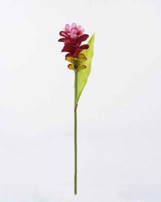Artificial Flower 9*9*76cm ginger Lily single stem GS-50525012-R1 2025Oct YeahFlower is one of Chinese leading OEM manufacturers and exporters , supplying the silk flowers, wholesale artificial trees Artificial Flower 9*9*76cm ginger Lily single stem GS-50525012-R1 2025Oct YeahFlower is one of Chinese leading OEM manufacturers and exporters , supplying the silk flowers, wholesale artificial trees