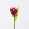 Artificial Flower ginger Lily single stem GS-50525012-R1_7 Artificial Flower 9*9*76cm ginger Lily single stem GS-50525012-R1 2025Oct YeahFlower is one of Chinese leading OEM manufacturers and exporters , supplying the silk flowers, wholesale artificial trees