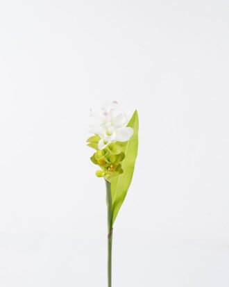 Artificial Flower 9*9*76cm ginger Lily single stem GS-50525012 2025Oct YeahFlower is one of Chinese leading OEM manufacturers and exporters , supplying the silk flowers, wholesale artificial trees Artificial Flower 9*9*76cm ginger Lily single stem GS-50525012 2025Oct YeahFlower is one of Chinese leading OEM manufacturers and exporters , supplying the silk flowers, wholesale artificial trees