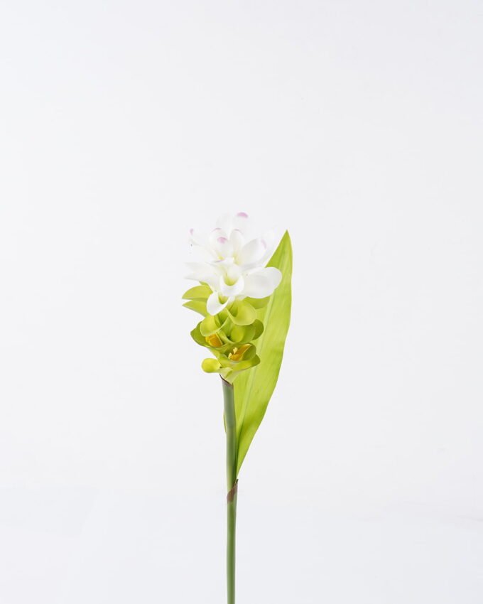 Artificial Flower ginger Lily single stem GS-50525012_3 Artificial Flower 9*9*76cm ginger Lily single stem GS-50525012 2025Oct YeahFlower is one of Chinese leading OEM manufacturers and exporters , supplying the silk flowers, wholesale artificial trees