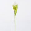 Artificial Flower ginger Lily single stem GS-50525012_4 Artificial Flower 9*9*76cm ginger Lily single stem GS-50525012 2025Oct YeahFlower is one of Chinese leading OEM manufacturers and exporters , supplying the silk flowers, wholesale artificial trees