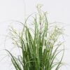 Artificial Grass 30*30*58cm Grass *3 in PP pot GS-61925034PET-RST 2025Oct YeahFlower is one of Chinese leading OEM manufacturers and exporters , supplying the silk flowers, wholesale artificial trees