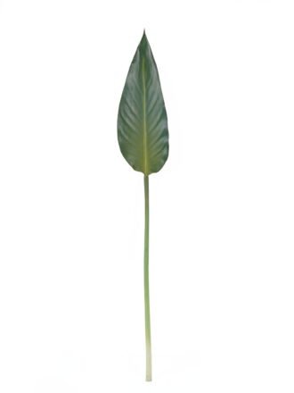 Artificial Plant 12*83 Strelitzia leaf single stem GS-50525020 2025Oct 3,000+ sqm showroom with thousands of artificial flowers, plants & trees ready for global sourcing.