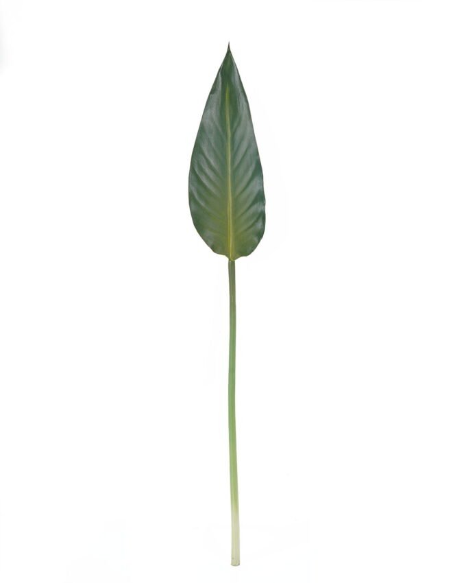 Artificial Plant 12*83 Strelitzia leaf single stem GS-50525020-G1 2025Oct YeahFlower is one of Chinese leading OEM manufacturers and exporters , supplying the silk flowers, wholesale artificial trees