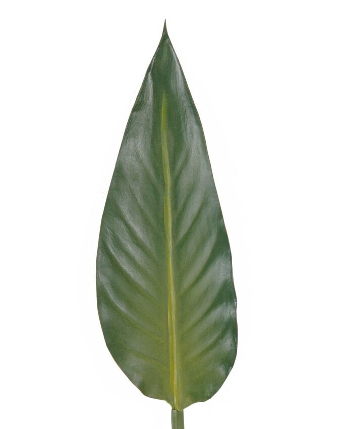 Artificial Plant 12*83 Strelitzia leaf single stem GS-50525020-G1 2025Oct YeahFlower is one of Chinese leading OEM manufacturers and exporters , supplying the silk flowers, wholesale artificial trees