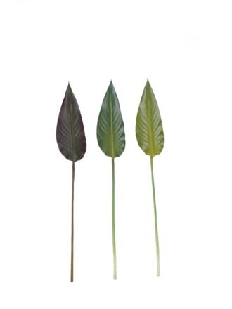 Artificial Plant 12*83 Strelitzia leaf single stem GS-50525020-G1 2025Oct 3,000+ sqm showroom with thousands of artificial flowers, plants & trees ready for global sourcing.