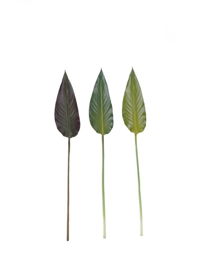 Artificial Plant 12*83 Strelitzia leaf single stem GS-50525020 2025Oct YeahFlower is one of Chinese leading OEM manufacturers and exporters , supplying the silk flowers, wholesale artificial trees