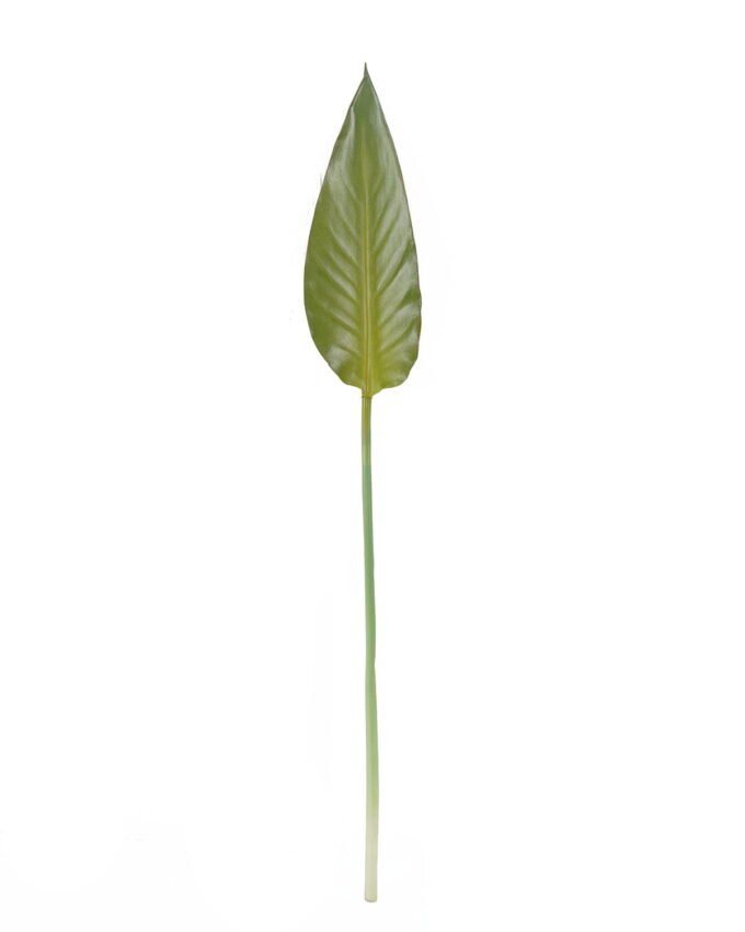 Artificial Plant 12*83 Strelitzia leaf single stem GS-50525020 2025Oct YeahFlower is one of Chinese leading OEM manufacturers and exporters , supplying the silk flowers, wholesale artificial trees