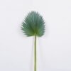 Artificial Plant 34*85 Palm leaf single stem GS-50525013-G4 2025Oct YeahFlower is one of Chinese leading OEM manufacturers and exporters , supplying the silk flowers, wholesale artificial trees