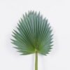 Artificial Plant 34*85 Palm leaf single stem GS-50525013-G4 2025Oct YeahFlower is one of Chinese leading OEM manufacturers and exporters , supplying the silk flowers, wholesale artificial trees