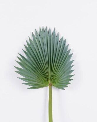 Artificial Plant 34*85 Palm leaf single stem GS-50525013-G4 2025Oct YeahFlower is one of Chinese leading OEM manufacturers and exporters , supplying the silk flowers, wholesale artificial trees