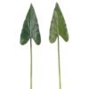 Artificial Plant Alocasia odora single stem GS-50525036_2 Artificial Plant 17*71cm Alocasia odora single stem GS-50525036 2025Oct YeahFlower is one of Chinese leading OEM manufacturers and exporters , supplying the silk flowers, wholesale artificial trees